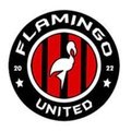 Escudo del Flamingo United
