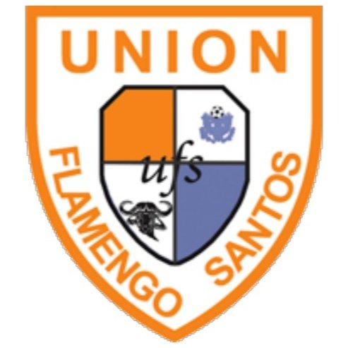 Flamingo Santos