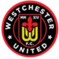 Escudo del Westchester Sub 19