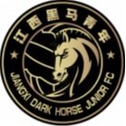 >Jiangxi Dark Horse