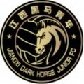Escudo del Jiangxi Dark Horse