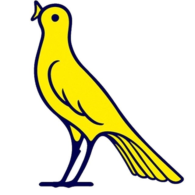 Modena U15