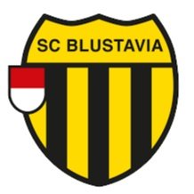 Escudo del Blustavia Fem.