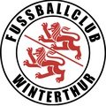 Escudo del Winterthur Fem.