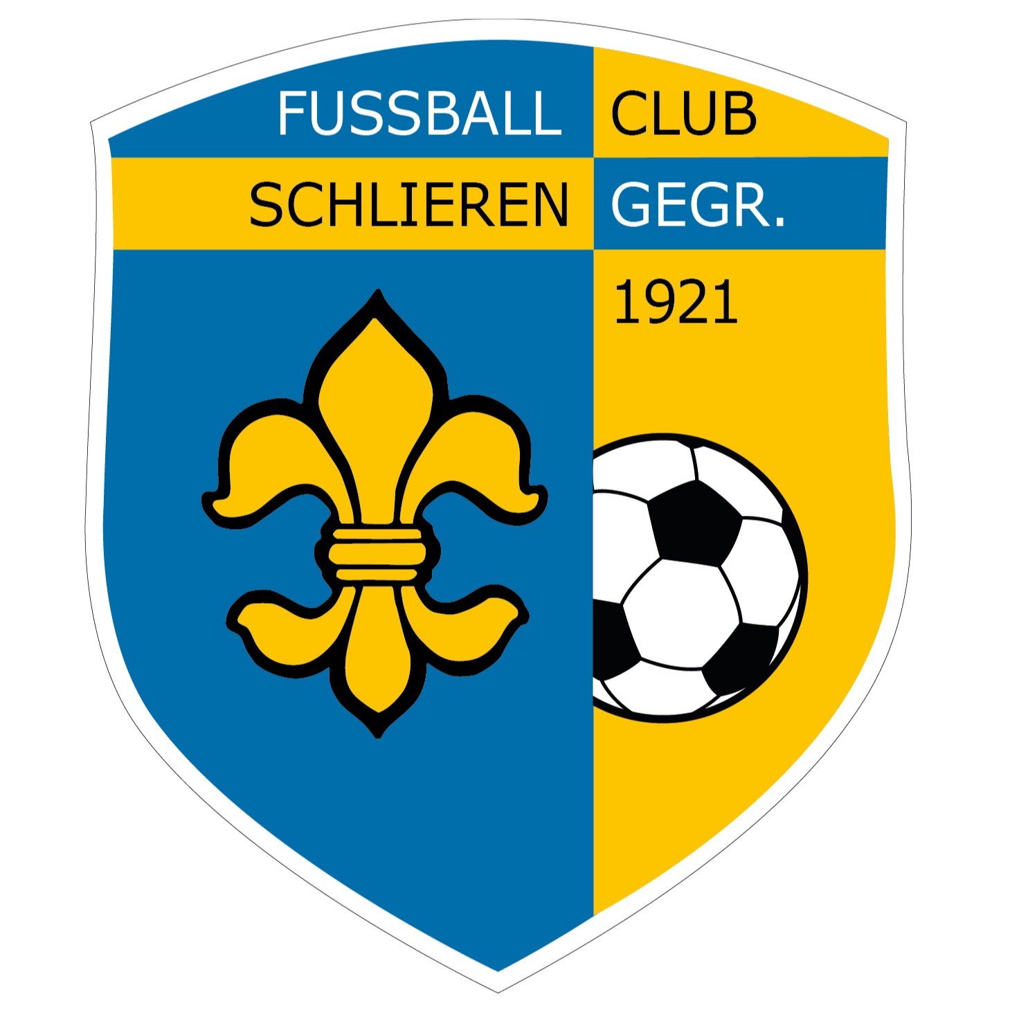 Escudo del Schlieren Fem.
