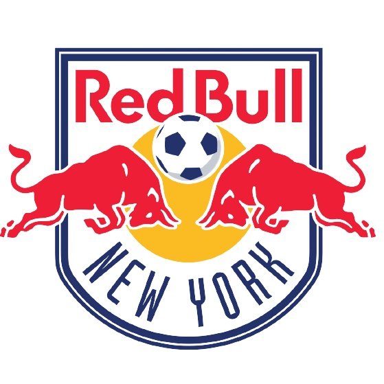 Escudo del New York RB Sub 16