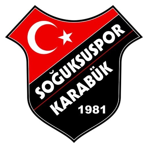 100. Yıl Soğuksuspor