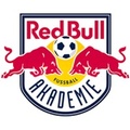 Red Bull Akademie Sub 16?size=60x&lossy=1