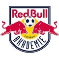 Escudo del Red Bull Akademie Sub 16