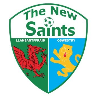 The New Saints Development