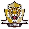 Escudo del Tigres Sub 19