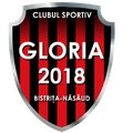 Escudo del Gloria 2018 Bistrita-Nasaud