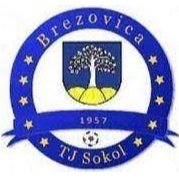 Escudo del Sokol Brezovicka