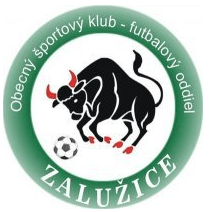 Zaluzice