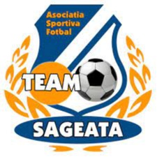 Team Săgeata