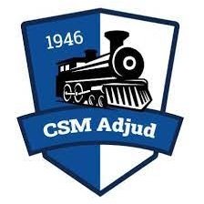 Escudo del CSM Adjud