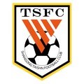 Shandong Taishan Sub 19