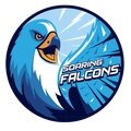 Escudo del Adamson Falcons Students
