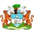 Escudo del Freetown City