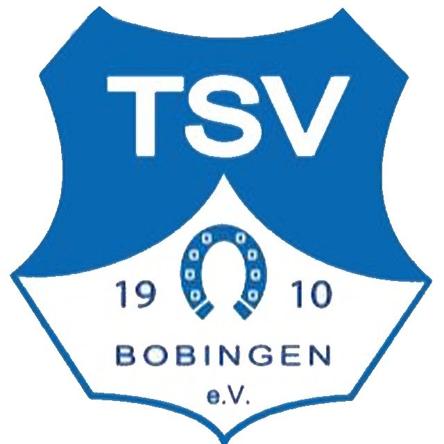 Escudo del TSV Bobingen