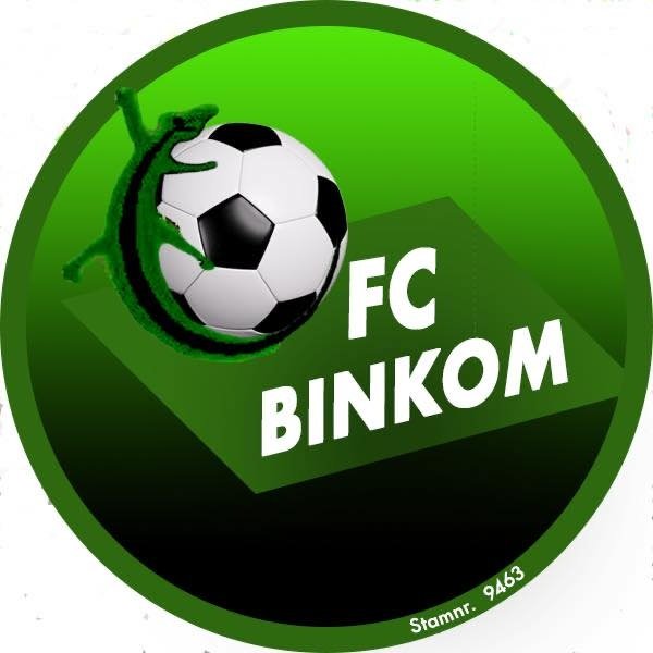 Escudo del Binkom