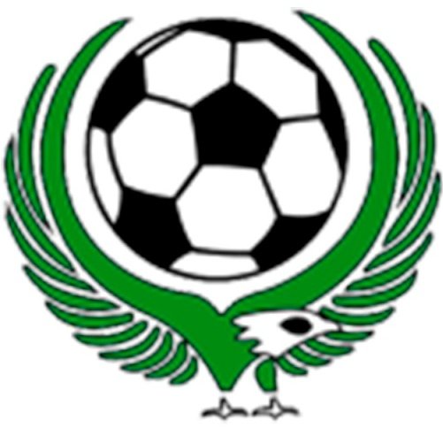 Escudo del Dalnerechensk FK
