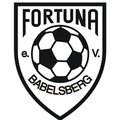 Escudo del Fortuna Babelsberg