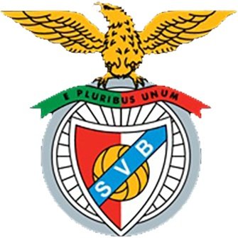 Escudo del Viseu e Benfica Sub 19