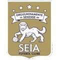 Seia FC Sub 15