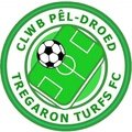 Tregaron Turfs FC