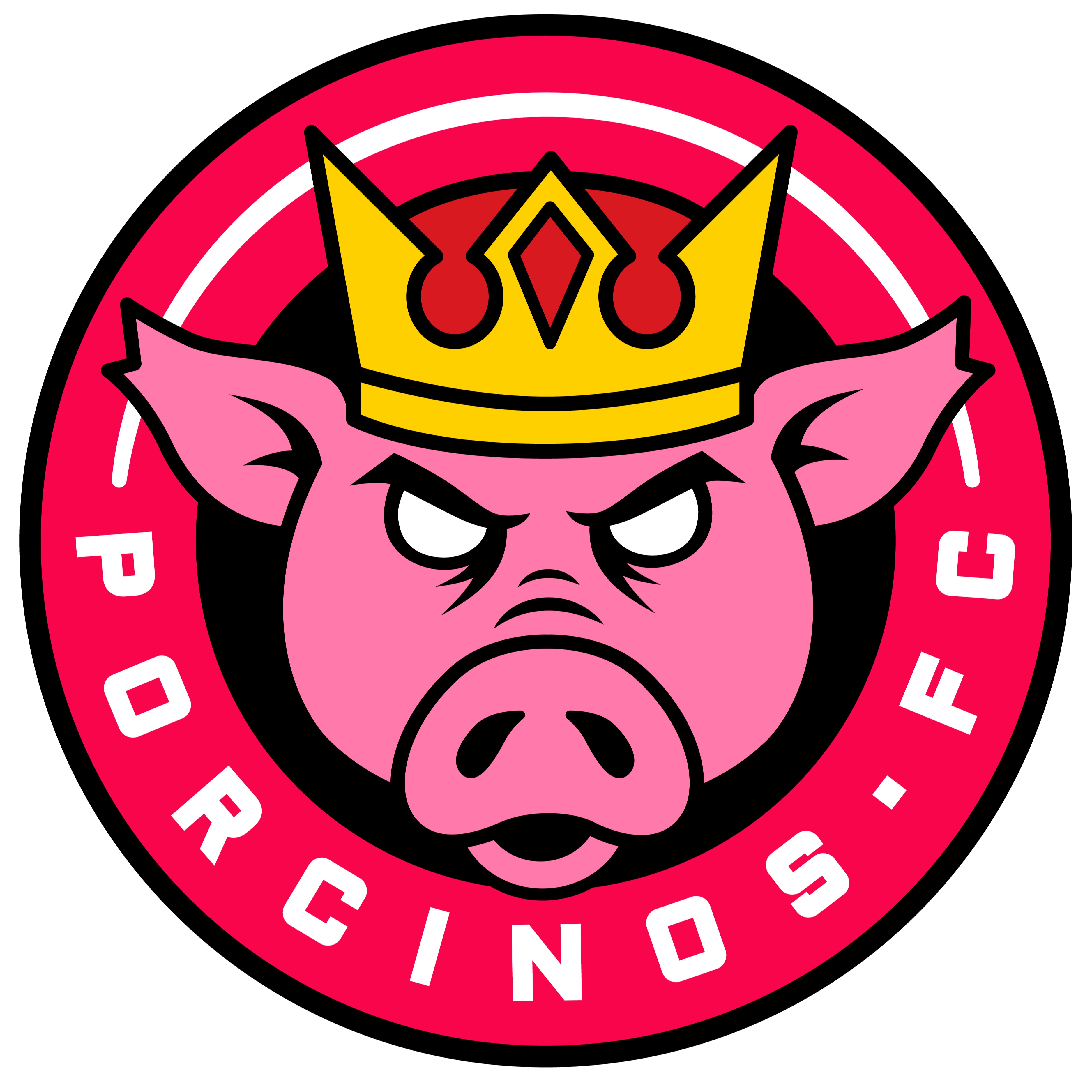 Porcinos FC Sub 12