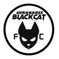 Escudo del Suranaree Black Cat