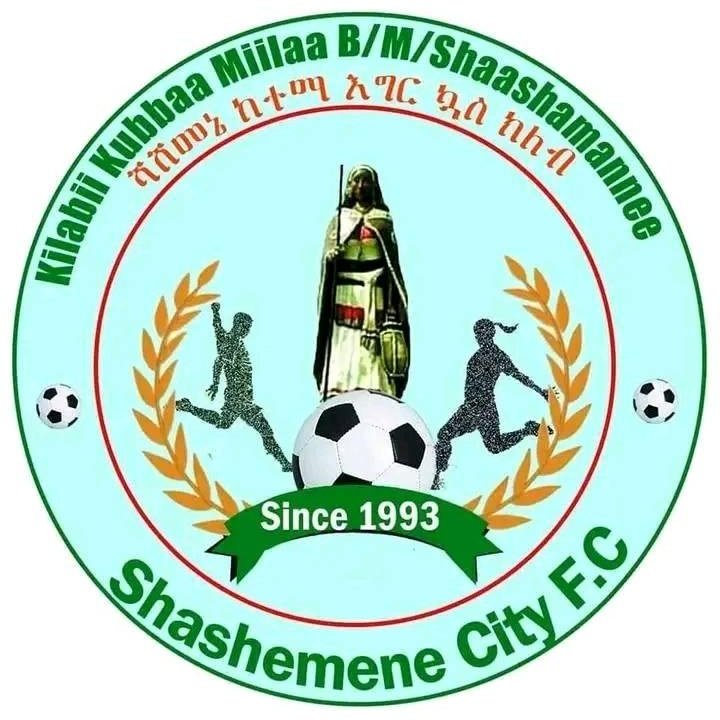 >Shashemene City