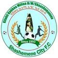 Escudo del Shashemene City