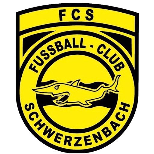 Escudo del Schwerzenbach Fem
