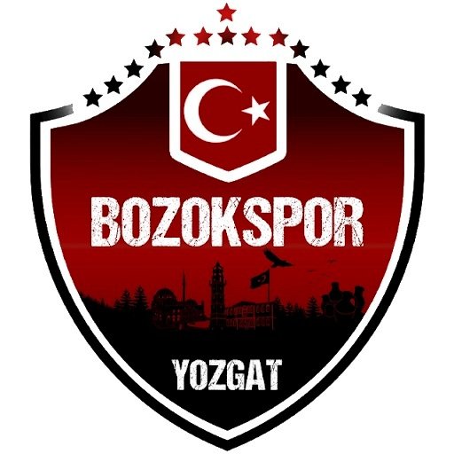 Yozgat Bozokspor