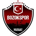 Escudo del Yozgat Bld Bozokspor
