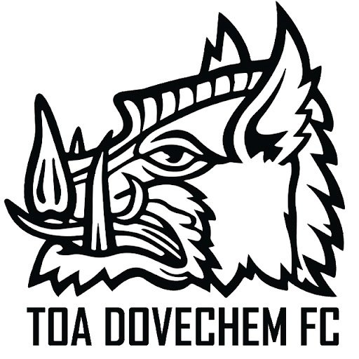 Escudo del TOA Dovechem