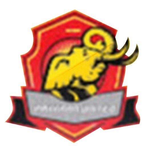 Escudo del Pakkran United