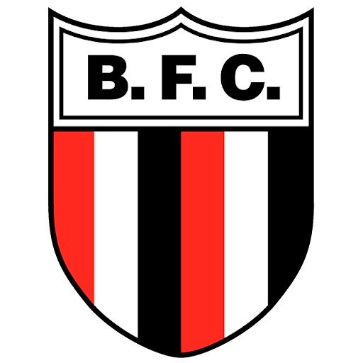 Escudo del Botafogo SP Sub 17