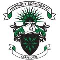 Haringey Borough Fem