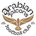 Escudo del Arabian Falcons