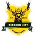 Berekum City