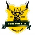 Escudo del Berekum City