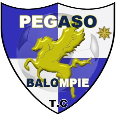 Pegaso Tres Cantos B