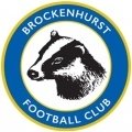Escudo del Brockenhurst