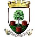 Escudo del Wells City
