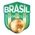 Sport Club Brasil Sub 17