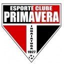Desportivo Brasil Sub 17