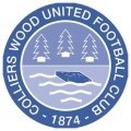 Colliers Wood United